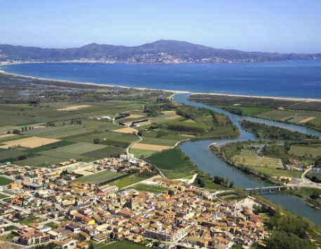 Anar a 