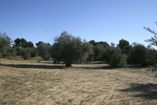 Anar a 