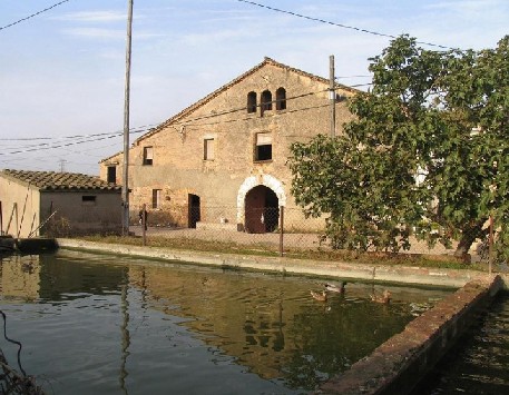 Anar a 